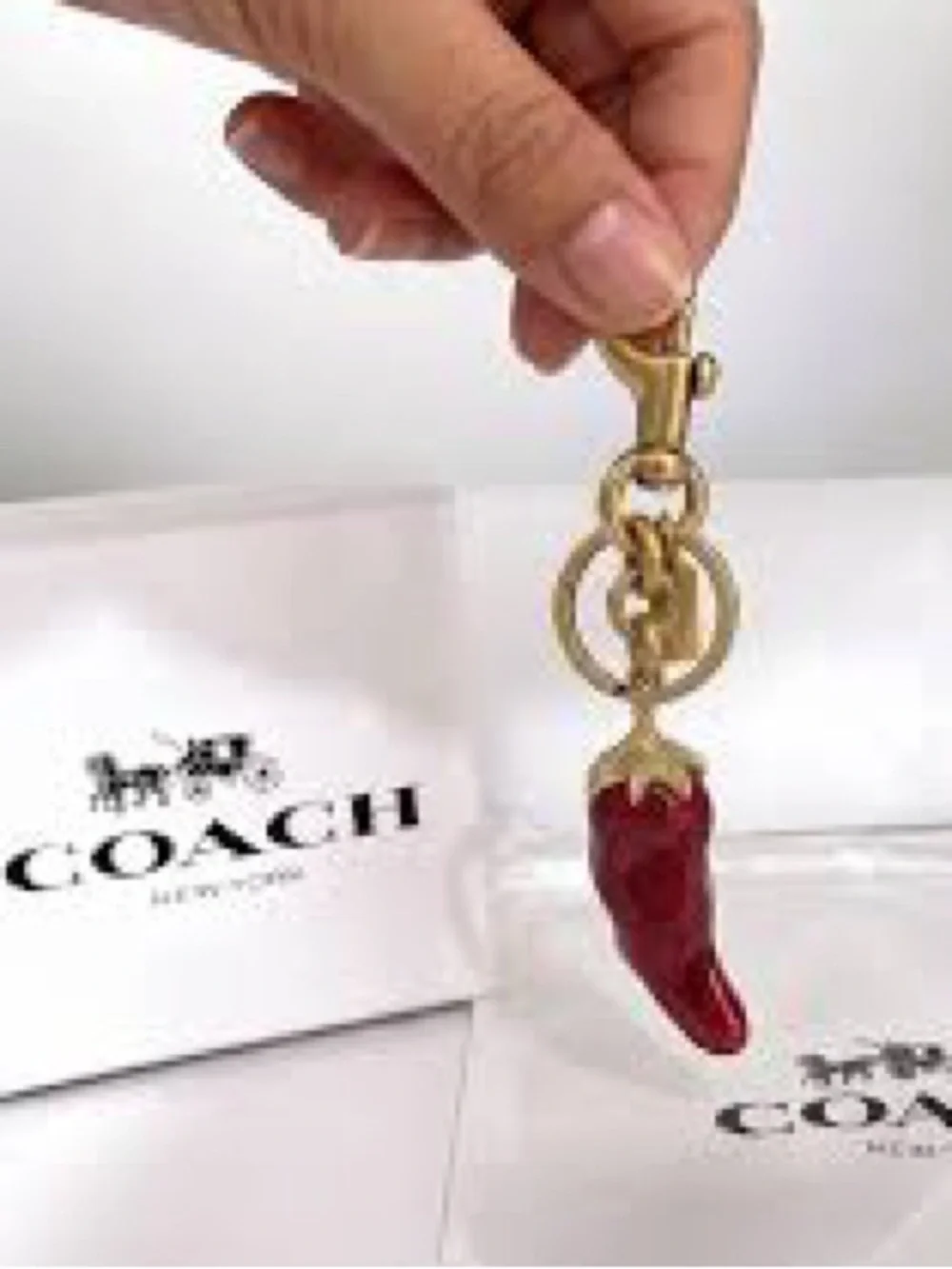 Coach key charm